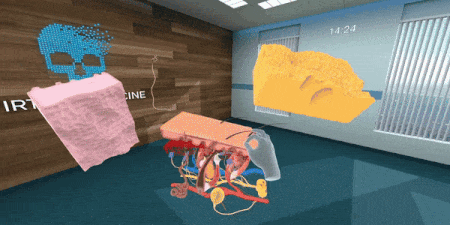 MicroAnatomyloop